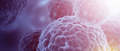 Longevity Peptides